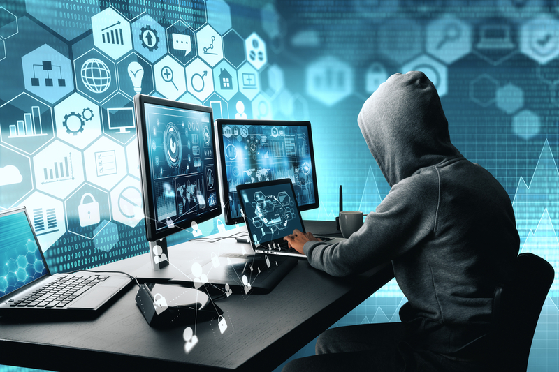 Cum a fost anihilată cea mai mare organizație de criminalitate informatică din lume