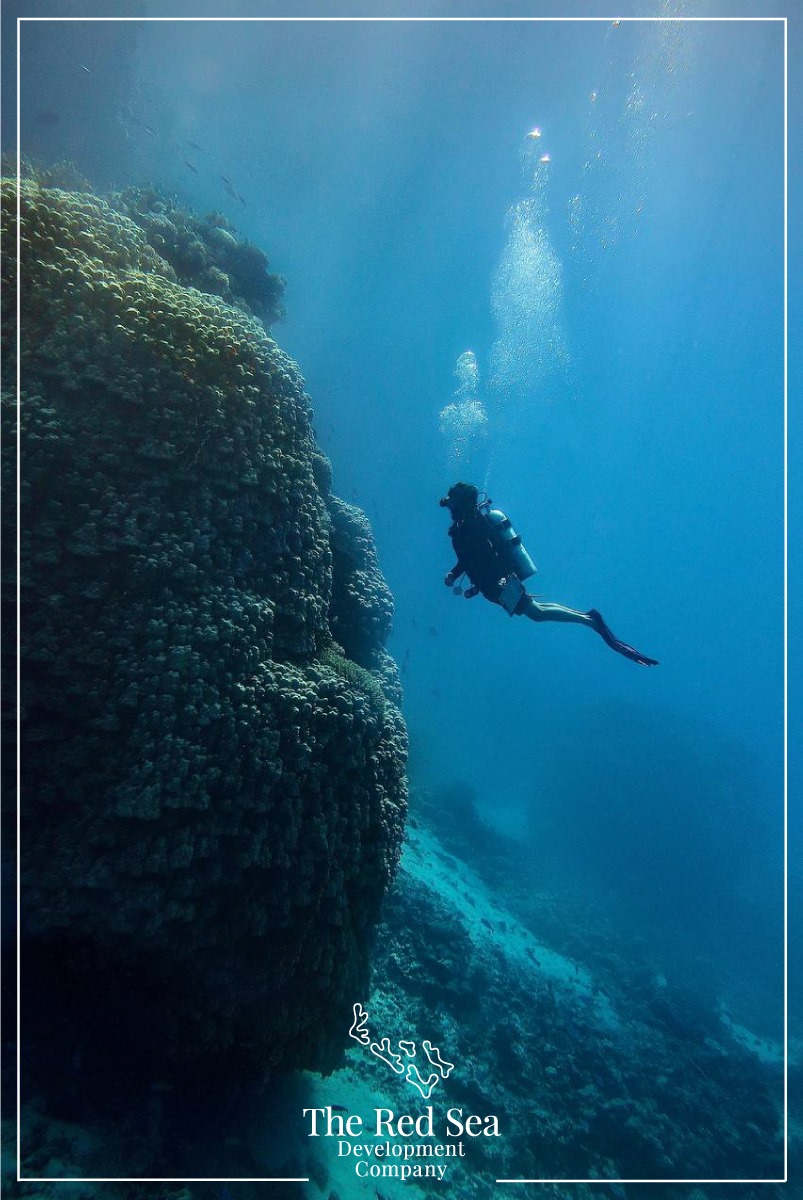 239931271 1613282872211716 6402154787771706732 n