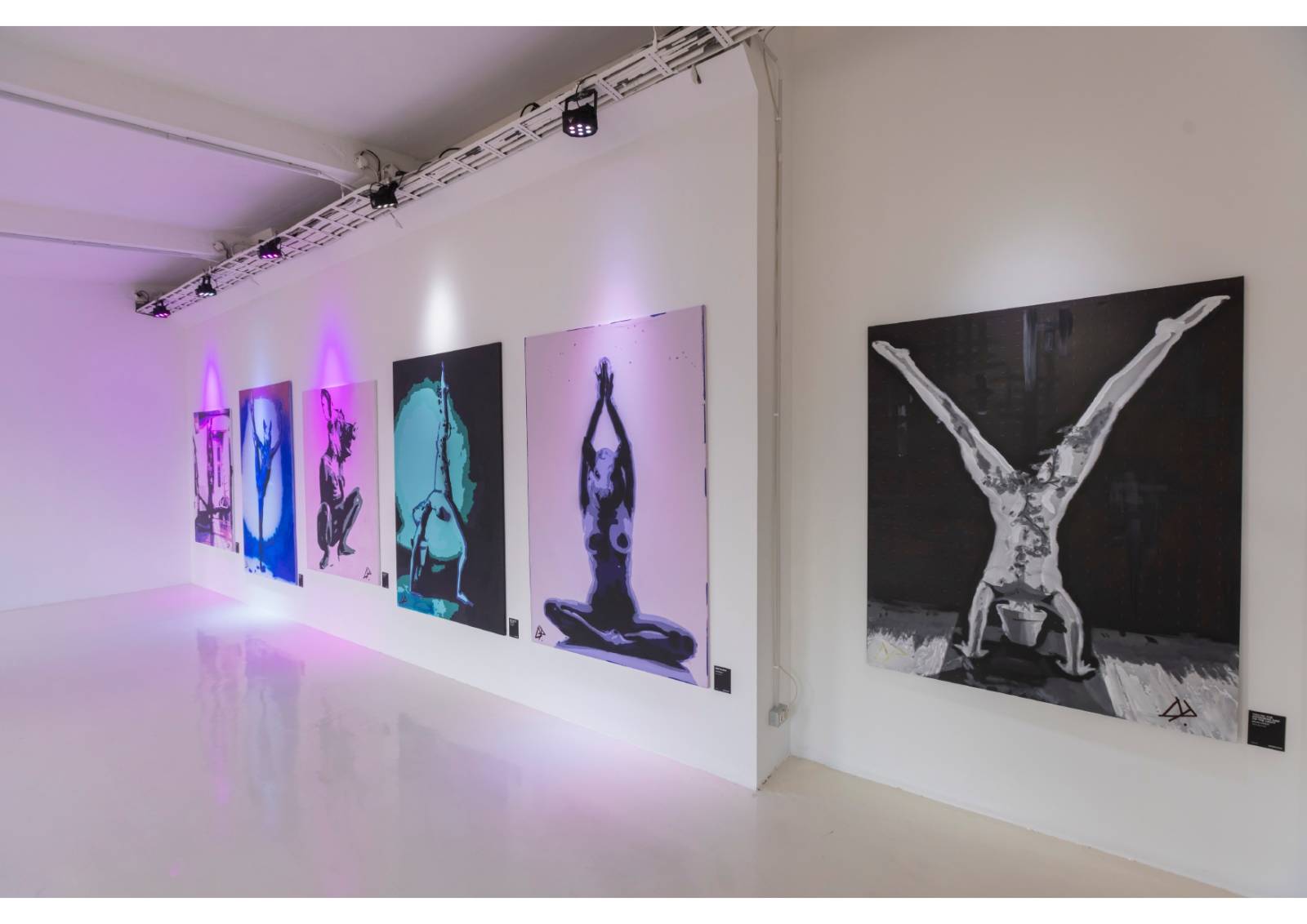 Braiconf a cumpărat toate tablourile artistului David Podut