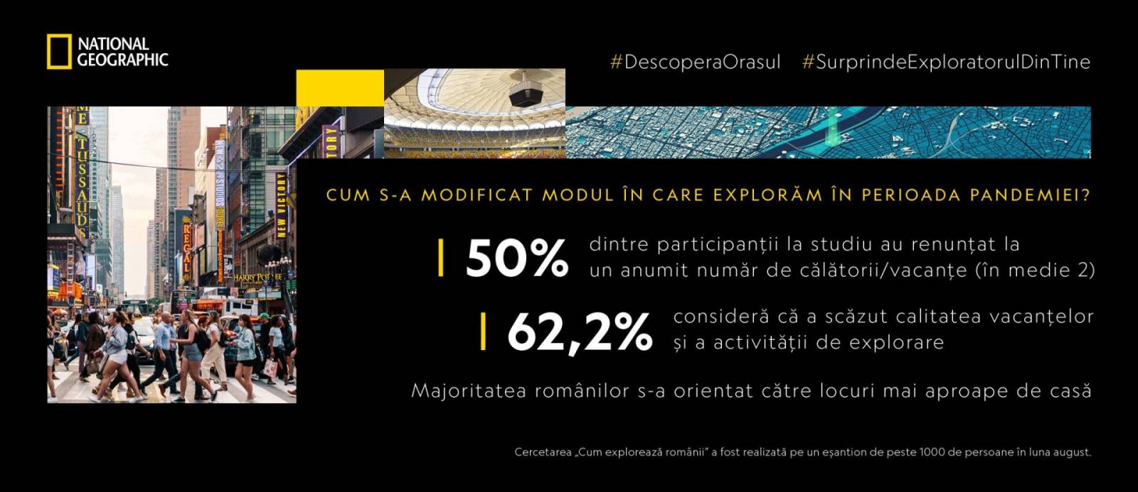 Infografice digital scaled