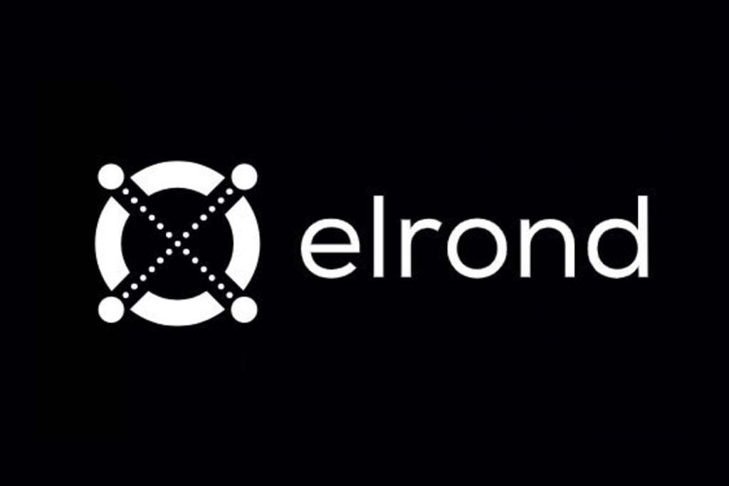 Start-up-ul Elrond pregăteşte lansarea Maiar Exchange şi Maiar Launchpad