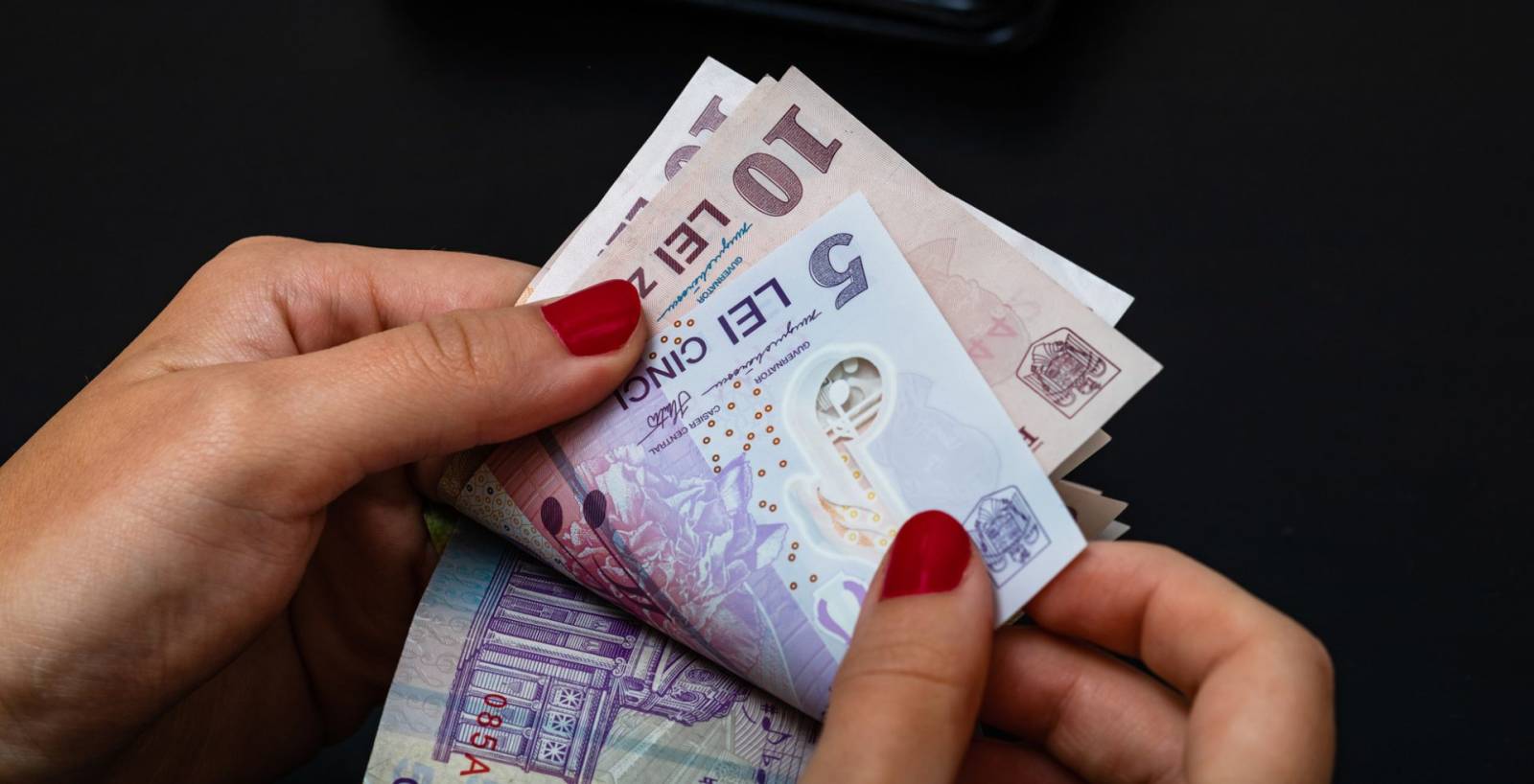 curs euro-leu
