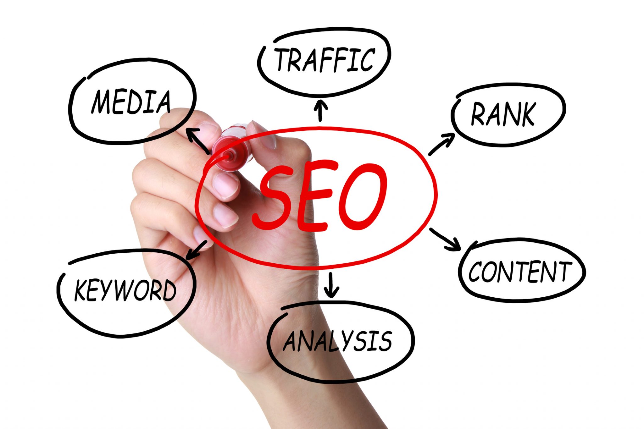 12 campanii SEO finaliste și 5 câștigătoare pentru Vertify la European Search Awards