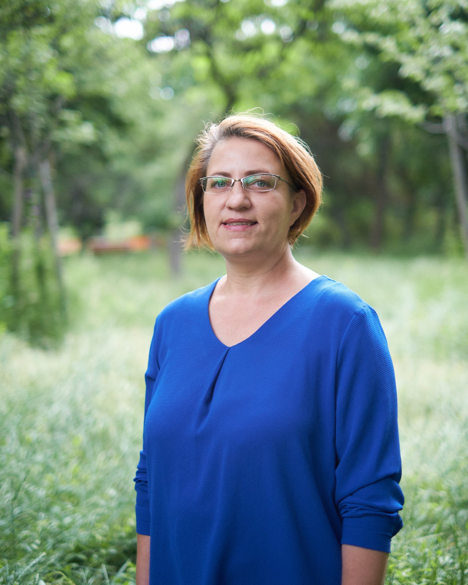 Cum riscăm să pierdem peste 7% din suprafața împădurită a țării