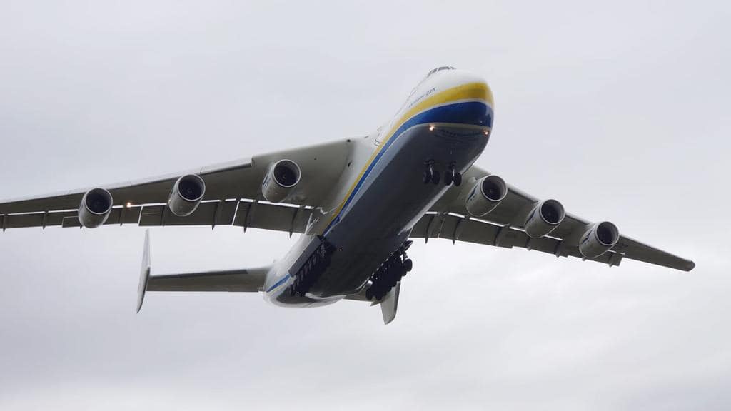 244737957 1281622635613137 5070014219324548880 n