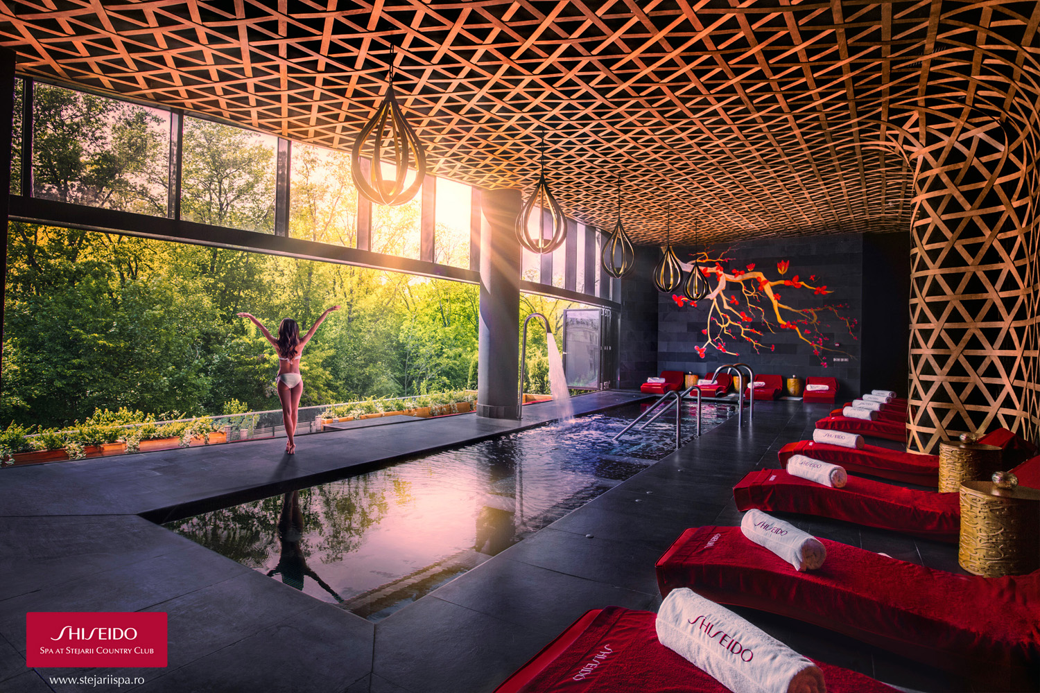 Shiseido Spa
