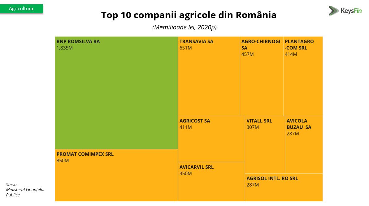 După o scădere de 3,4% anul trecut, cifra de afaceri a companiilor agricole va bate recordurile în 2021 1 Top companii agricole Keysfin
