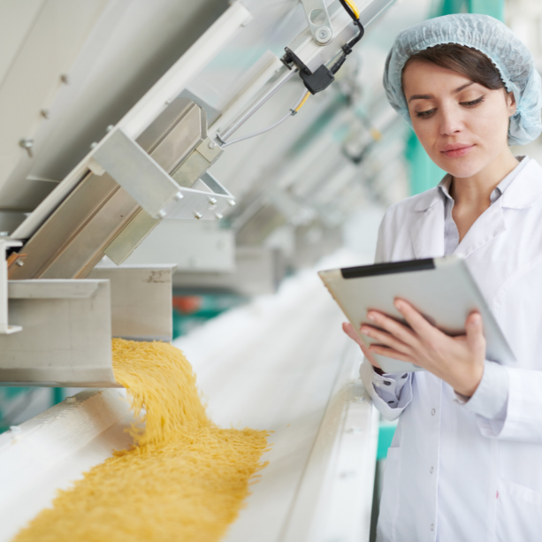 ERP în companiile de prelucrare a produselor alimentare 3 f4
