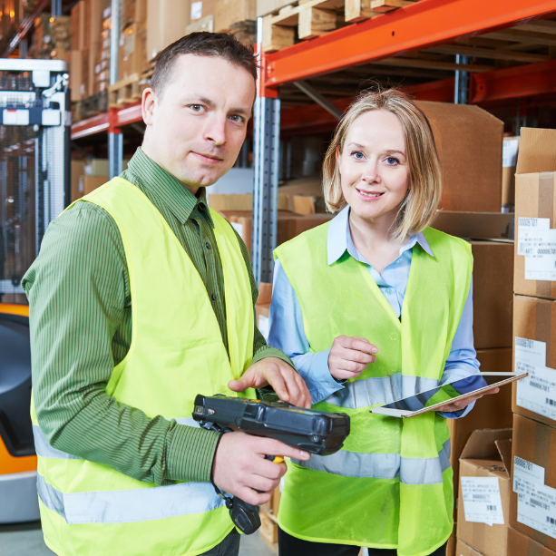 ERP în companiile de prelucrare a produselor alimentare 5 f6