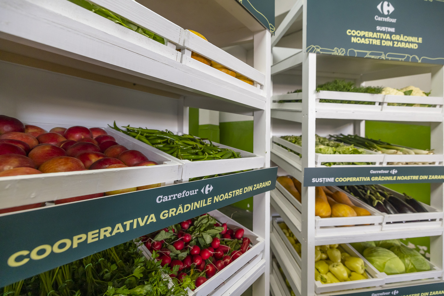 Mai multe produse românești ajung în magazinele Carrefour din vestul țării 5 Carrefour Cooperativa Gradinile Noastre din Zarand 2