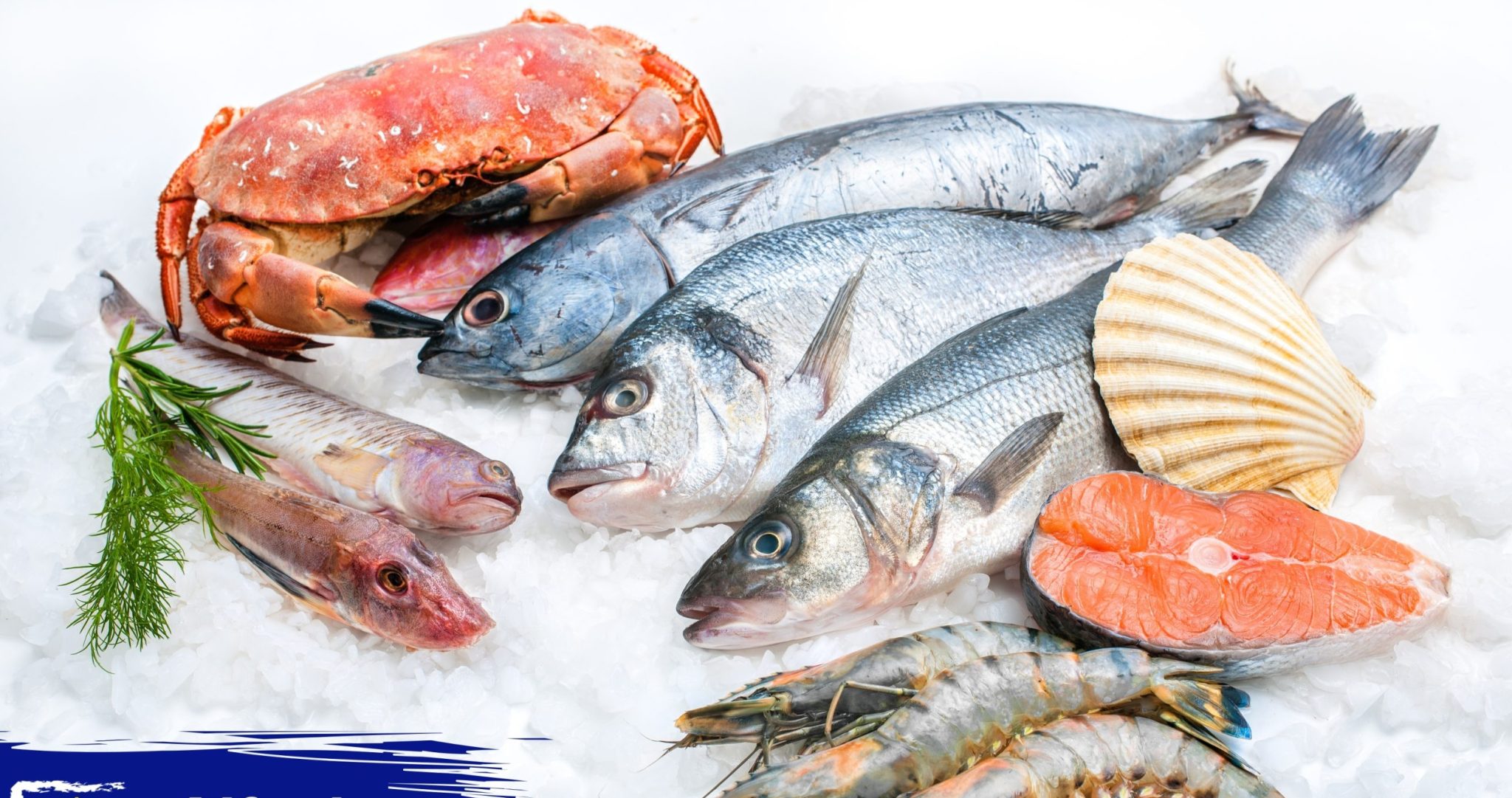 Alfredo Seafood, vânzări de pește cu 53% mai mari decât anul trecut