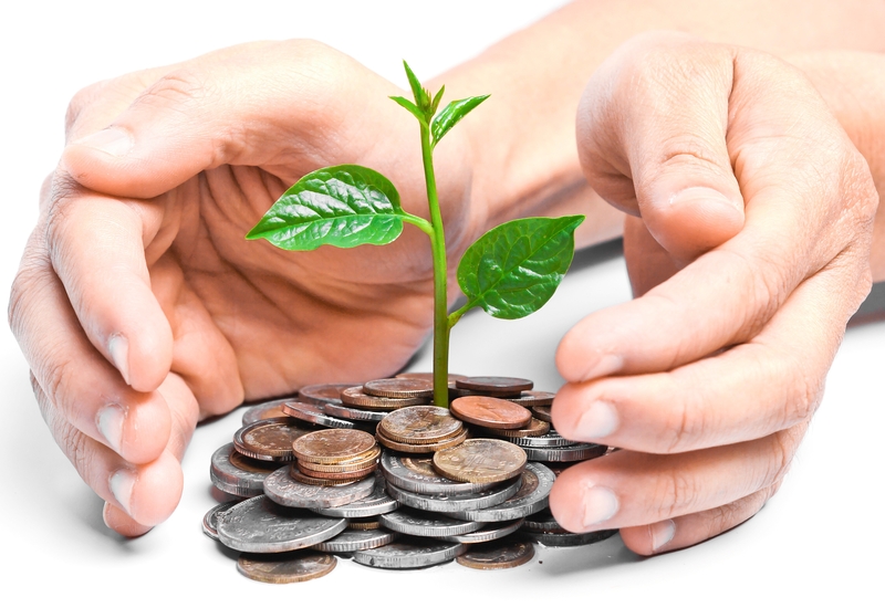 Investitorii, focus pe companii cu inițiative de mediu, sociale și de guvernanță corporativă