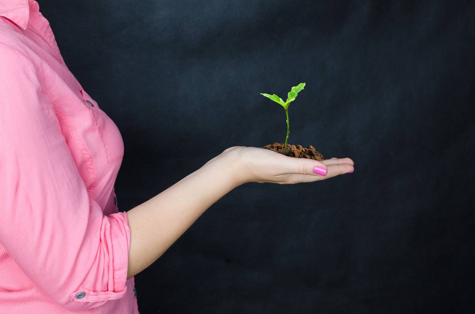 Adoptă un copac. Cum poți planta copaci virtual pentru un aer mai curat