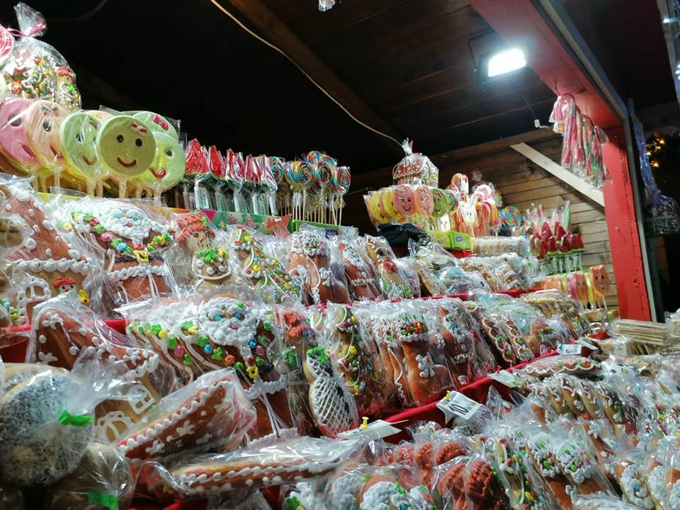 260652730 411339397326895 818596369611428937 n