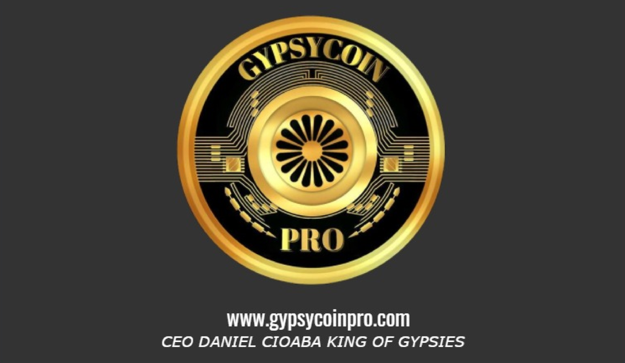 Apare Gypsycoin. Criptomoneda păstorită de Daniel Cioabă
