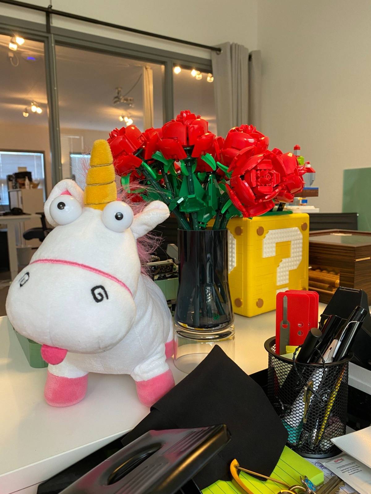 IMG 5577 small rotated