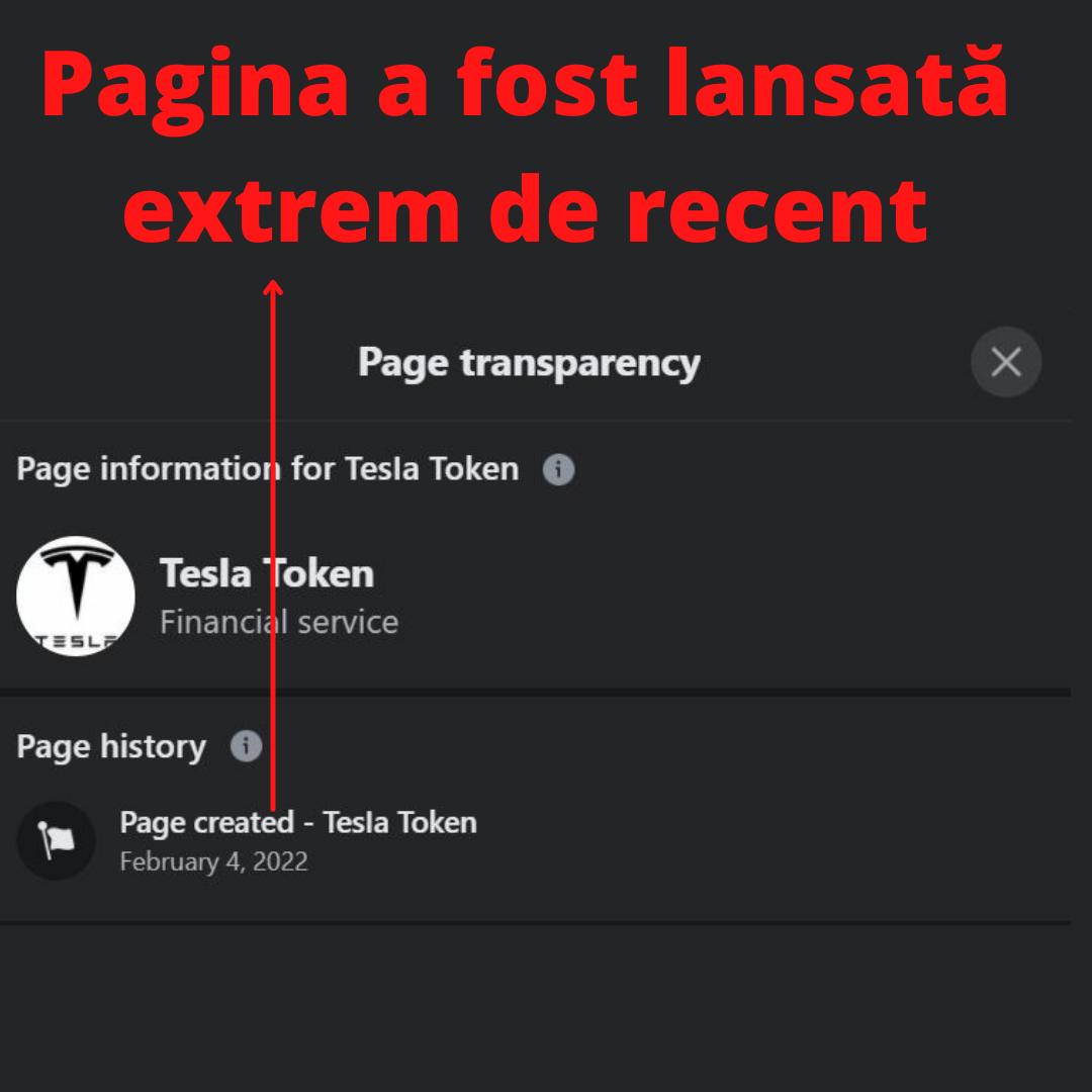Cum sunt păcăliți utilizatorii de internet să cumpere criptomonede. Pagini false ale Tesla