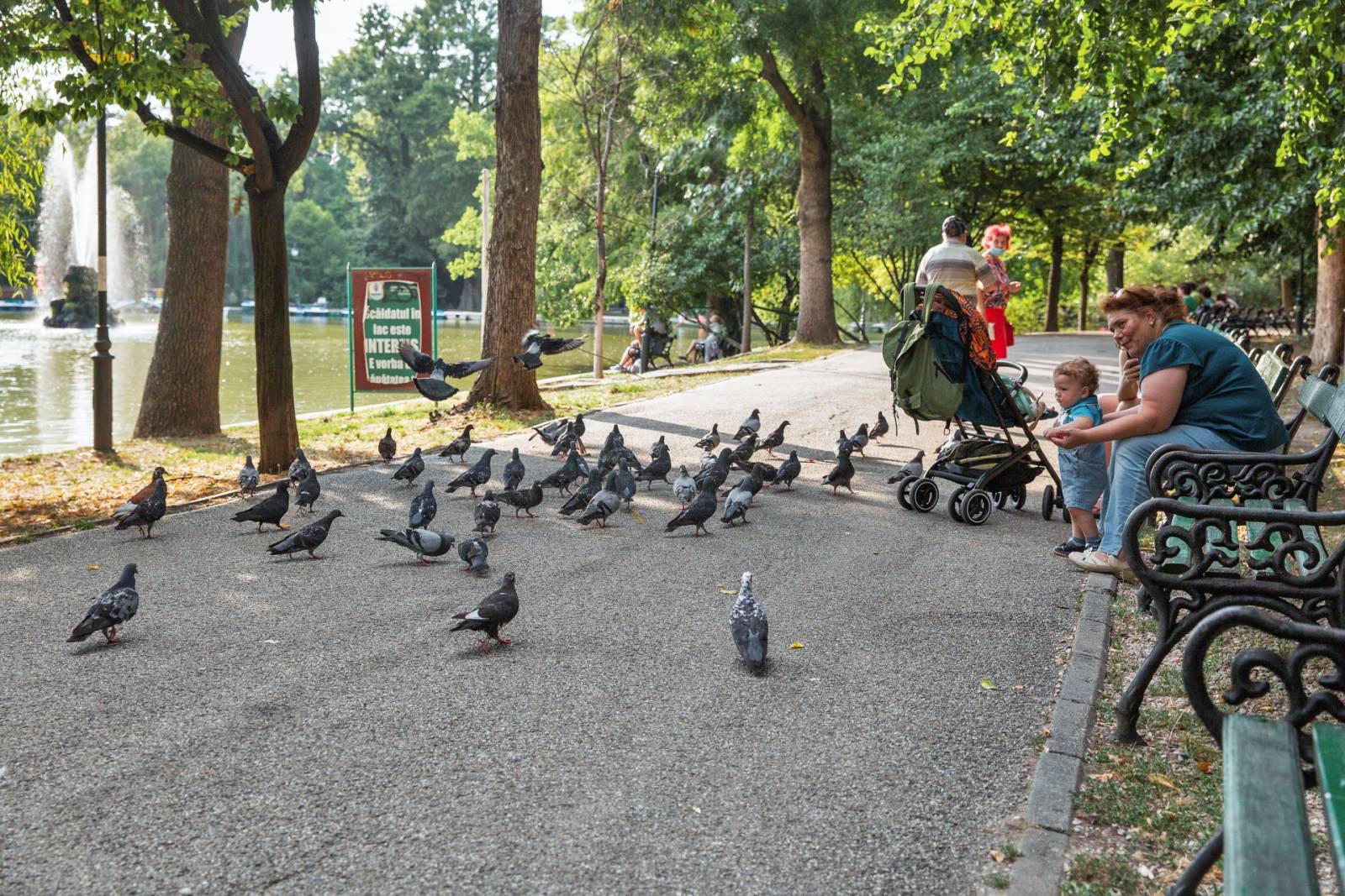 Bucuresti - parcul cismigiu