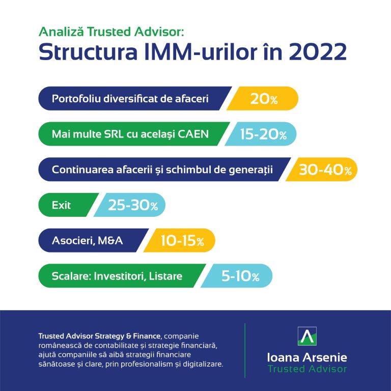 infografic structura IMM urilor in 2022