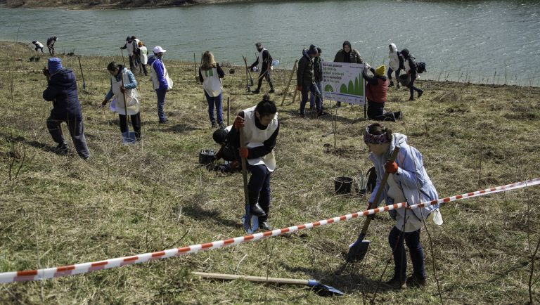 Asociația MaiMultVerde - impadurire Giurgiu