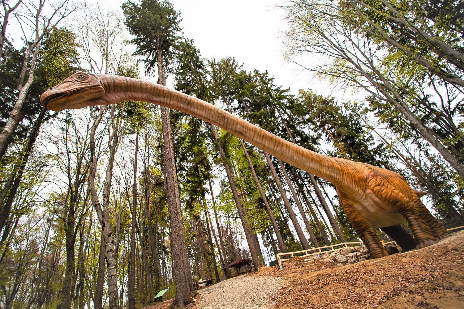 Dino Parc Râșnov