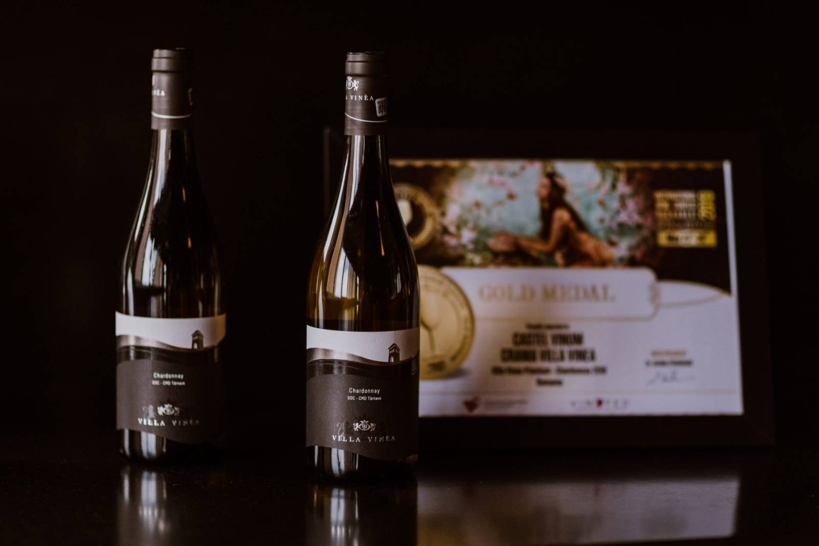 Cifra de afaceri Villa Vinèa, în creștere cu 23%