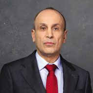 Wargha Enayati - Imperiul Leilor