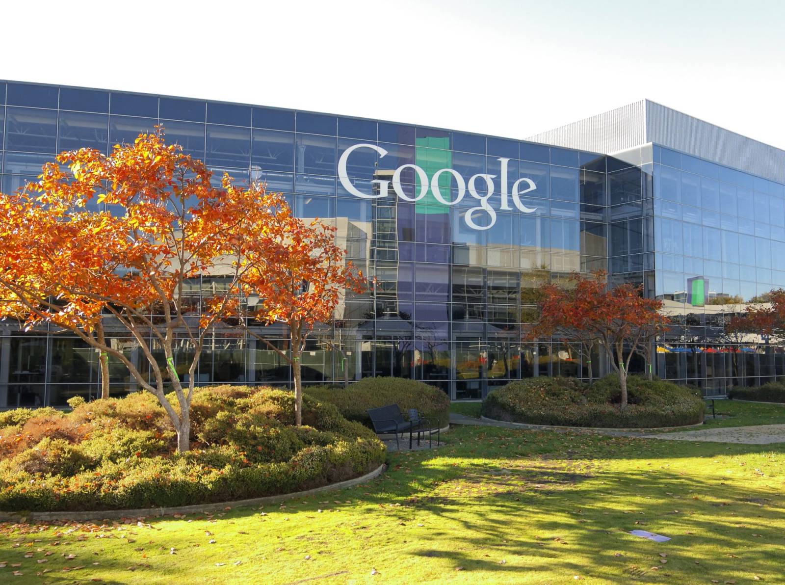 re7consulting livrează de 12 ori investiția Elefant.ro în Google Ads, cu 37% mai puțin buget