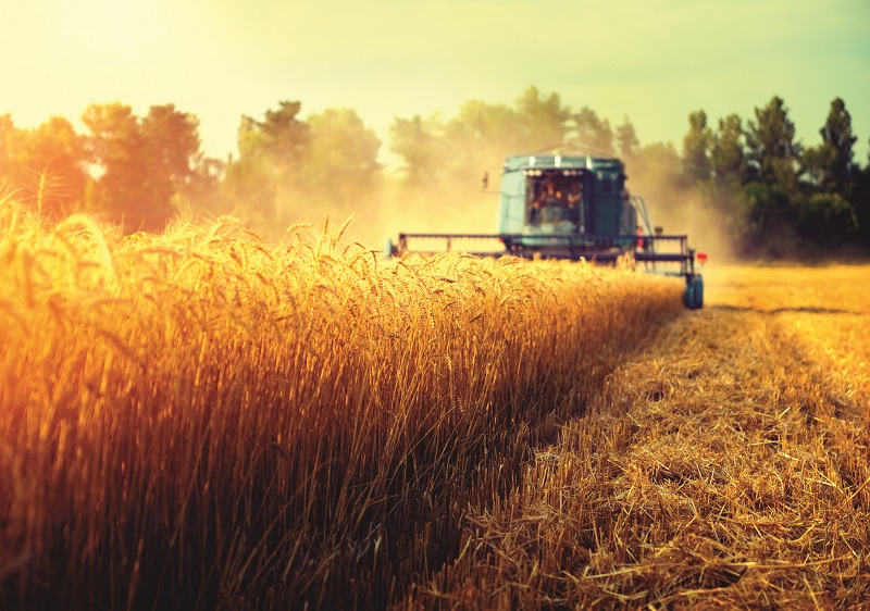 Patria Bank lansează produse de finanțare pentru agricultorii ce beneficiază de adeverința APIA