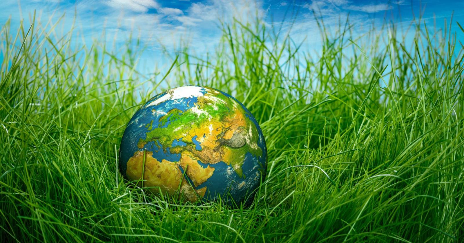 Ziua Suprasolicitării Planetei. Am consumat deja resursele pe care le reînnoiește Pământul în 12 lun...