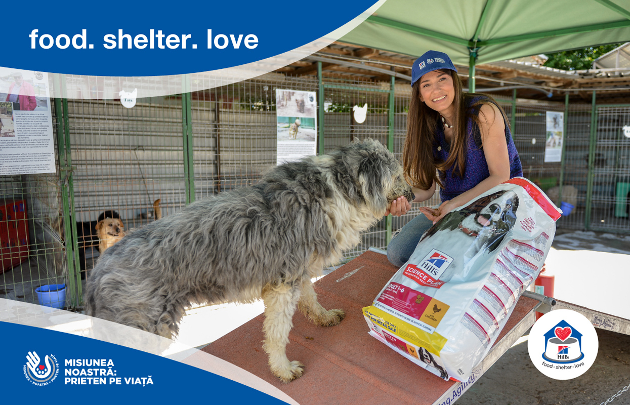 Dana Rogoz Adapostul Speranta Hills