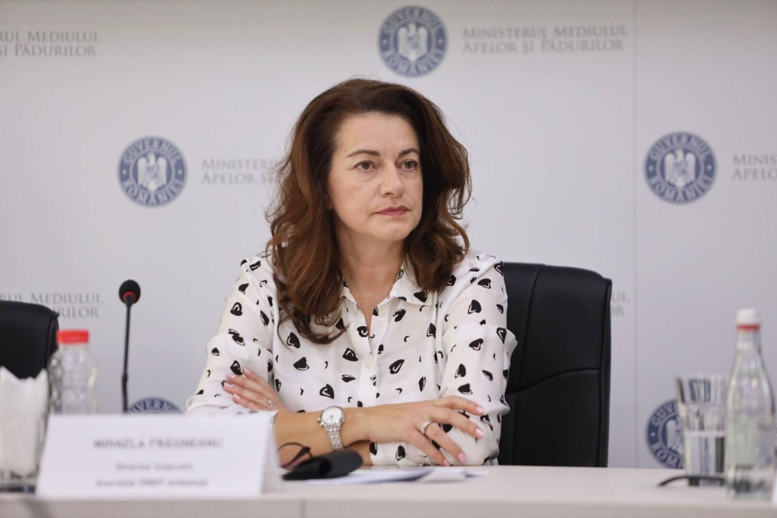 Dna. Mihaela FRASINEANU Director executiv Asociatia OIREP Ambalaje