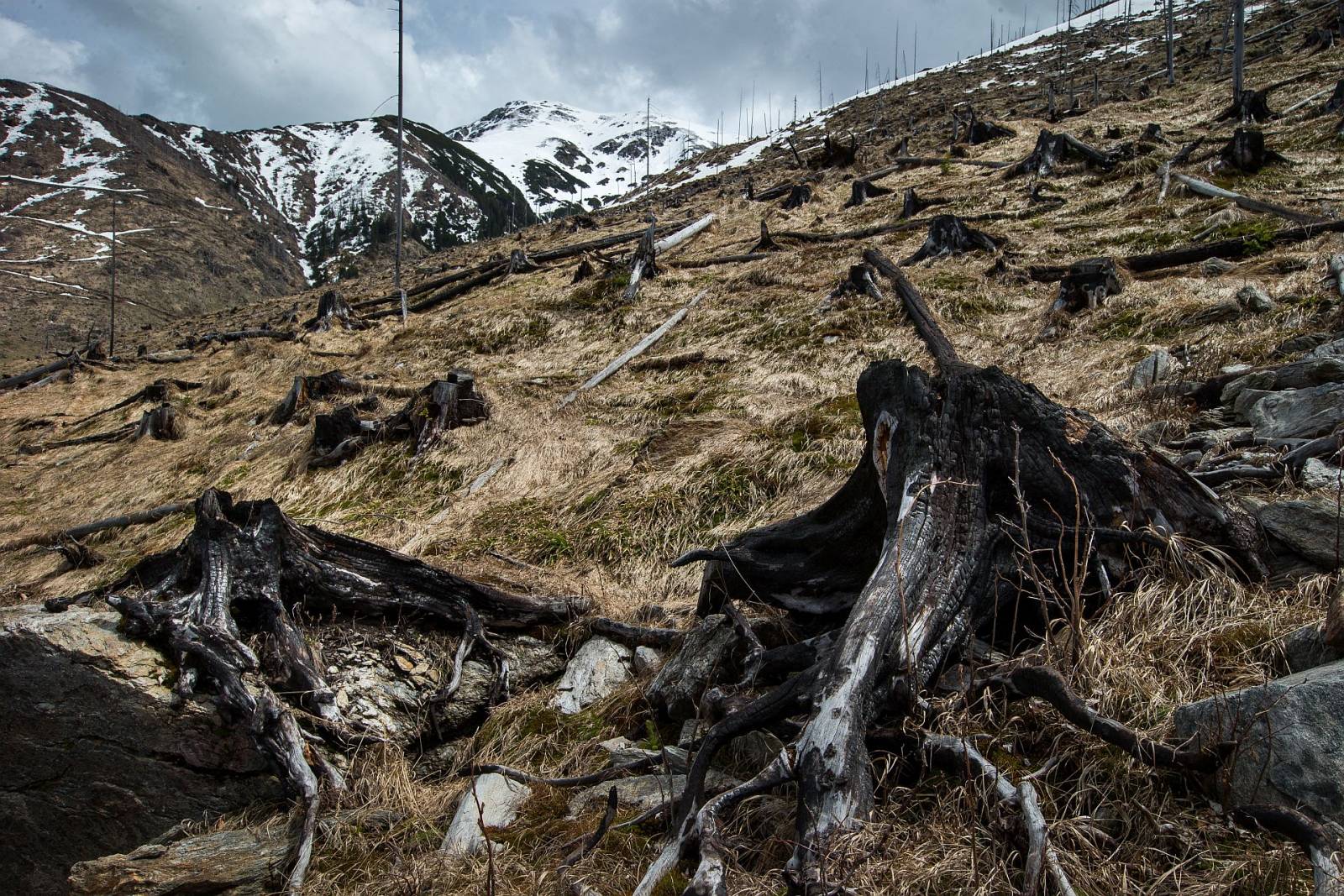 Groapele c Michiel van Noppen 27