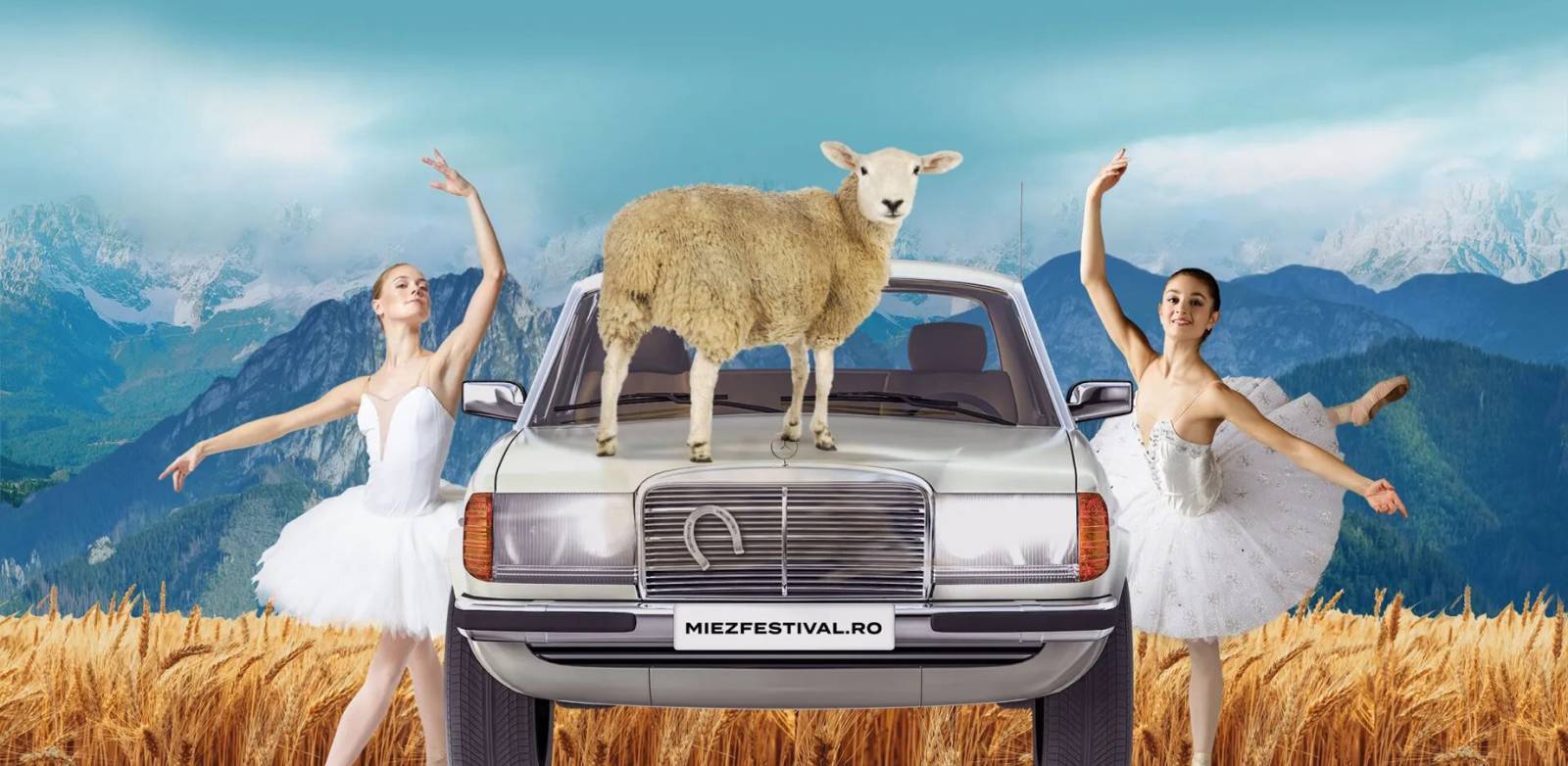 festivalul Miez 2022