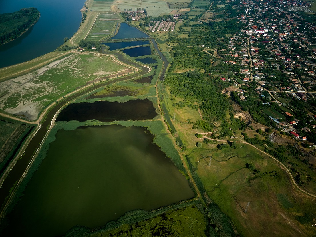 Delta Garla Mare