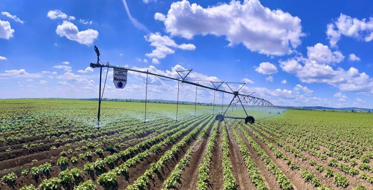 Grup Șerban Holding