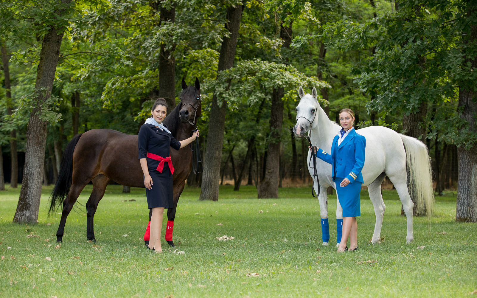 Flying Blue - Singureni Manor Equestrian Retreat