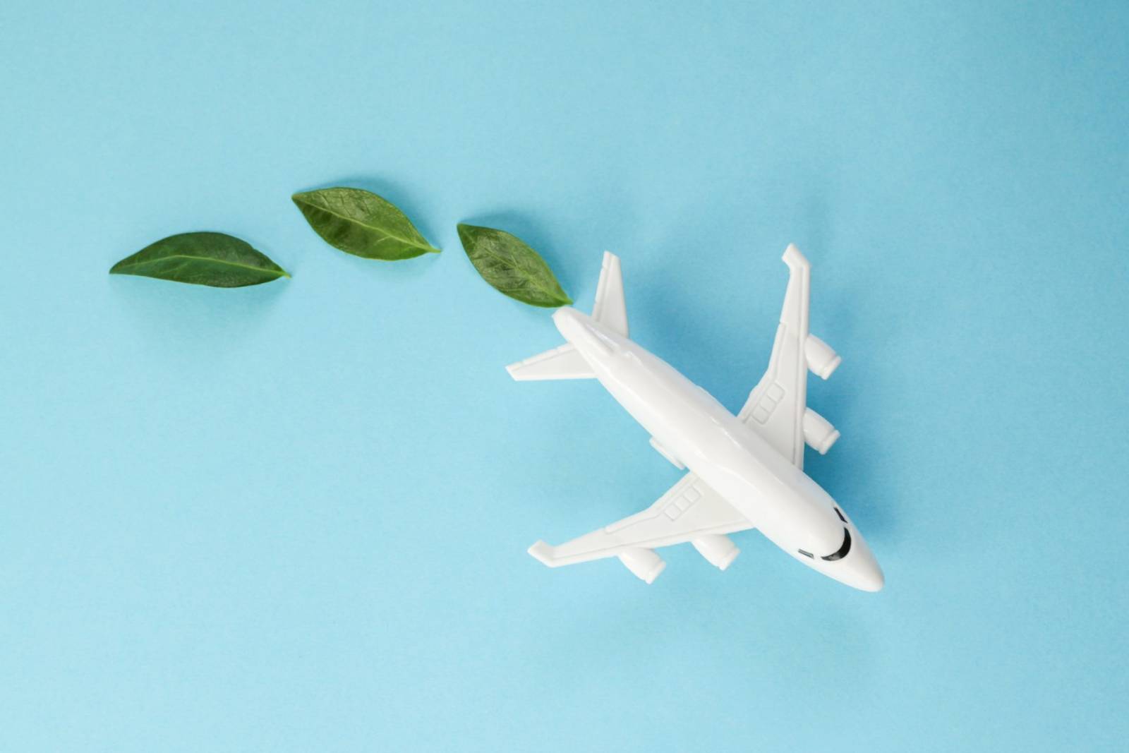combustibil sustenabil pentru aviatie