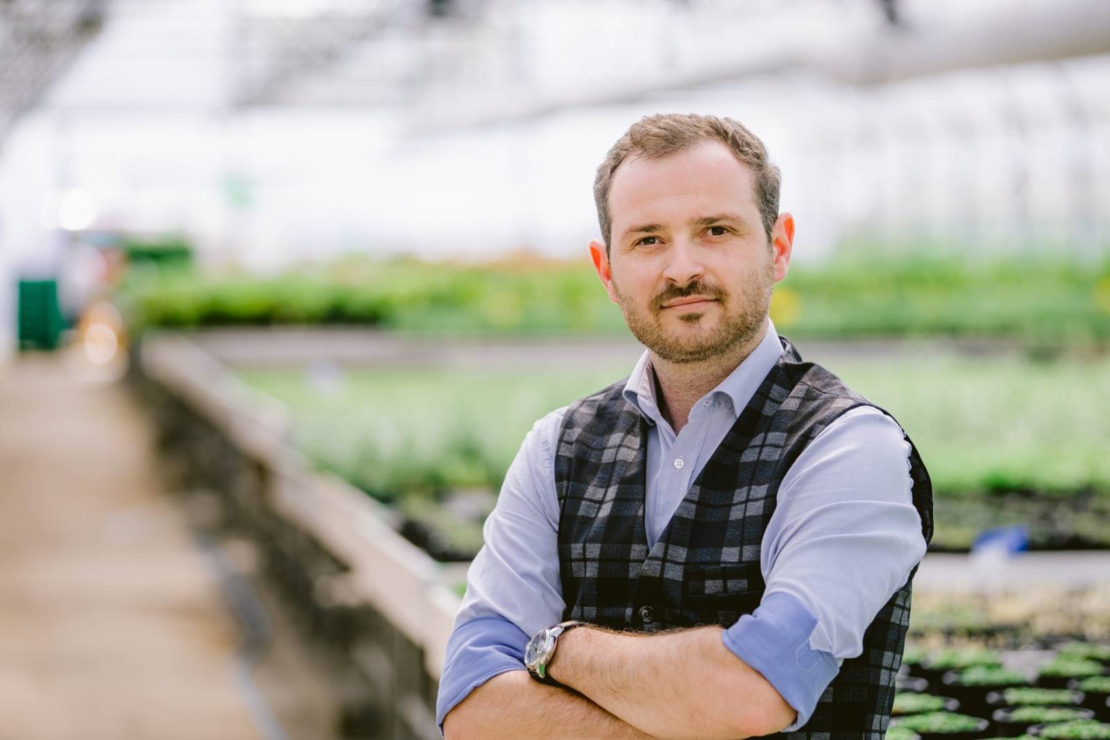 Microgreens: Agricultură verticală și producție locală