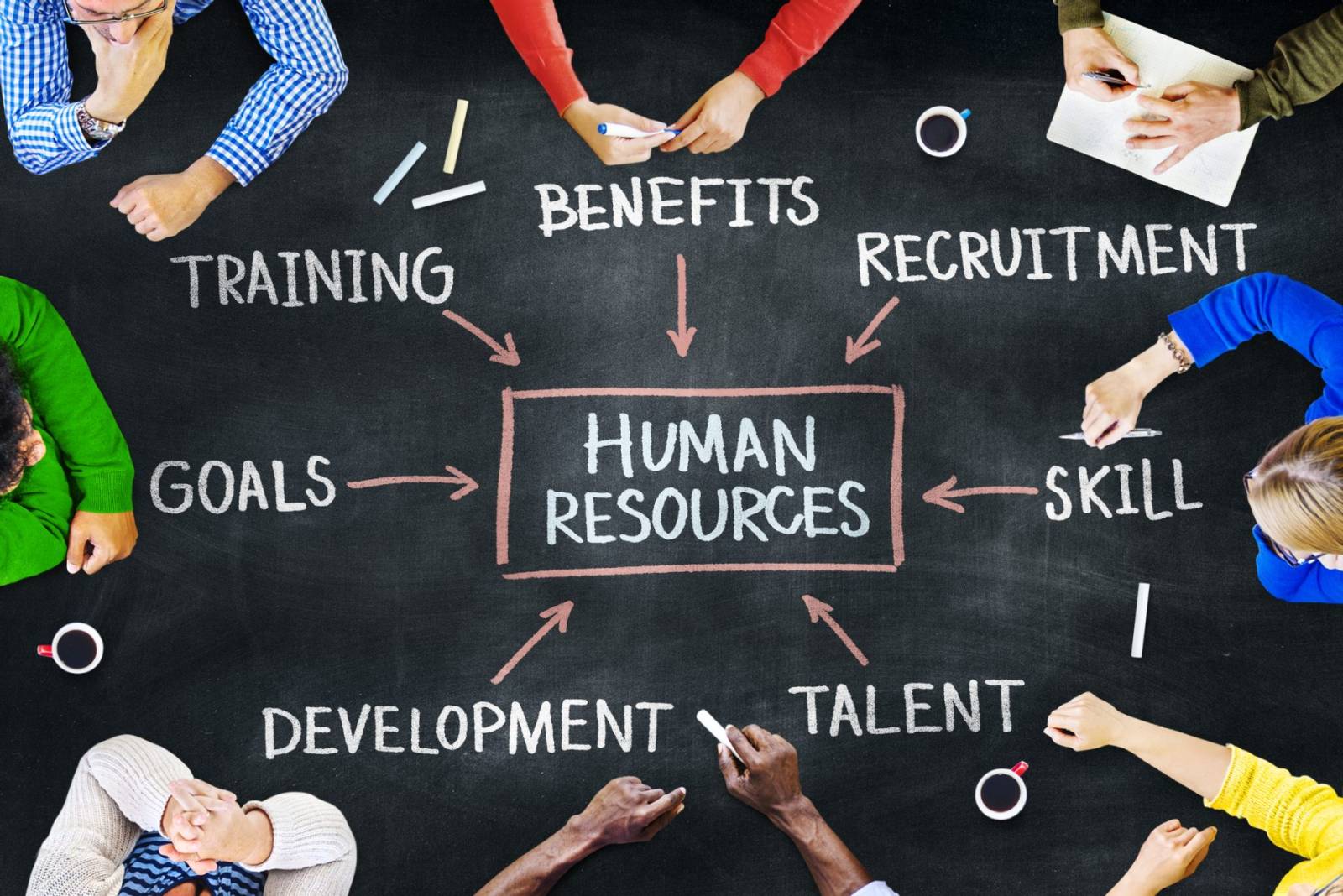 APT devine PROHUMAN APT și estimează afaceri de peste 70 mil. euro în 2022