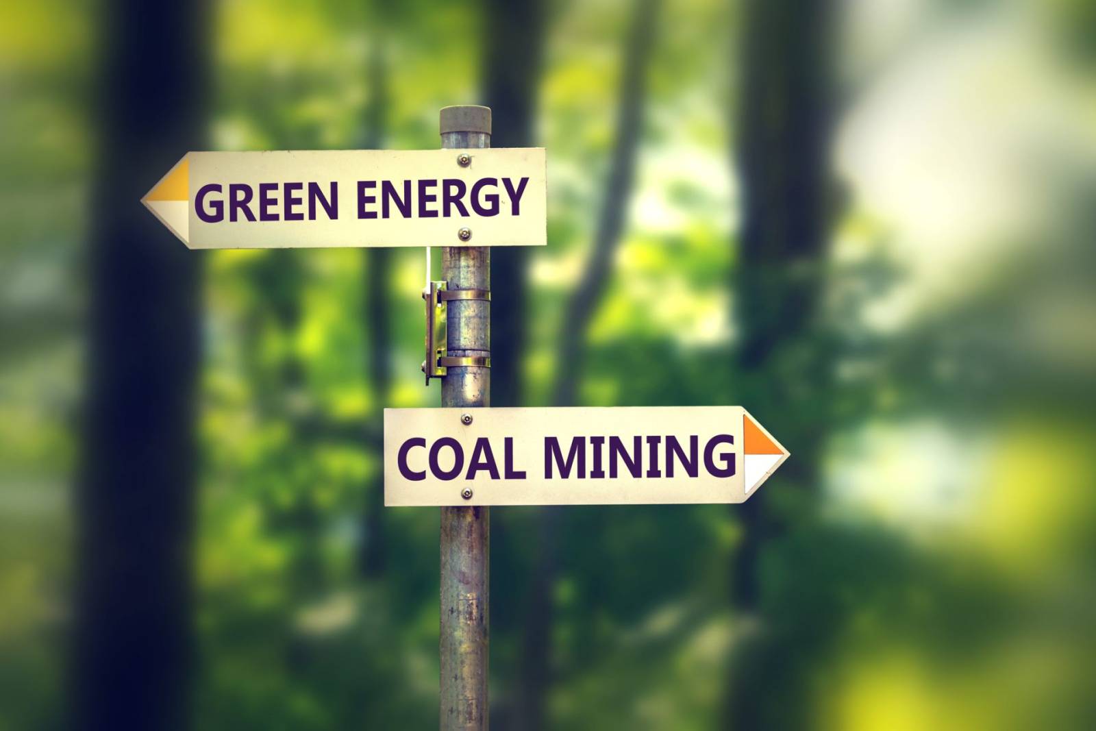 WWF România și PNRR: societatea civilă vrea să sprijine Guvernul în implementare 1 energie verde
