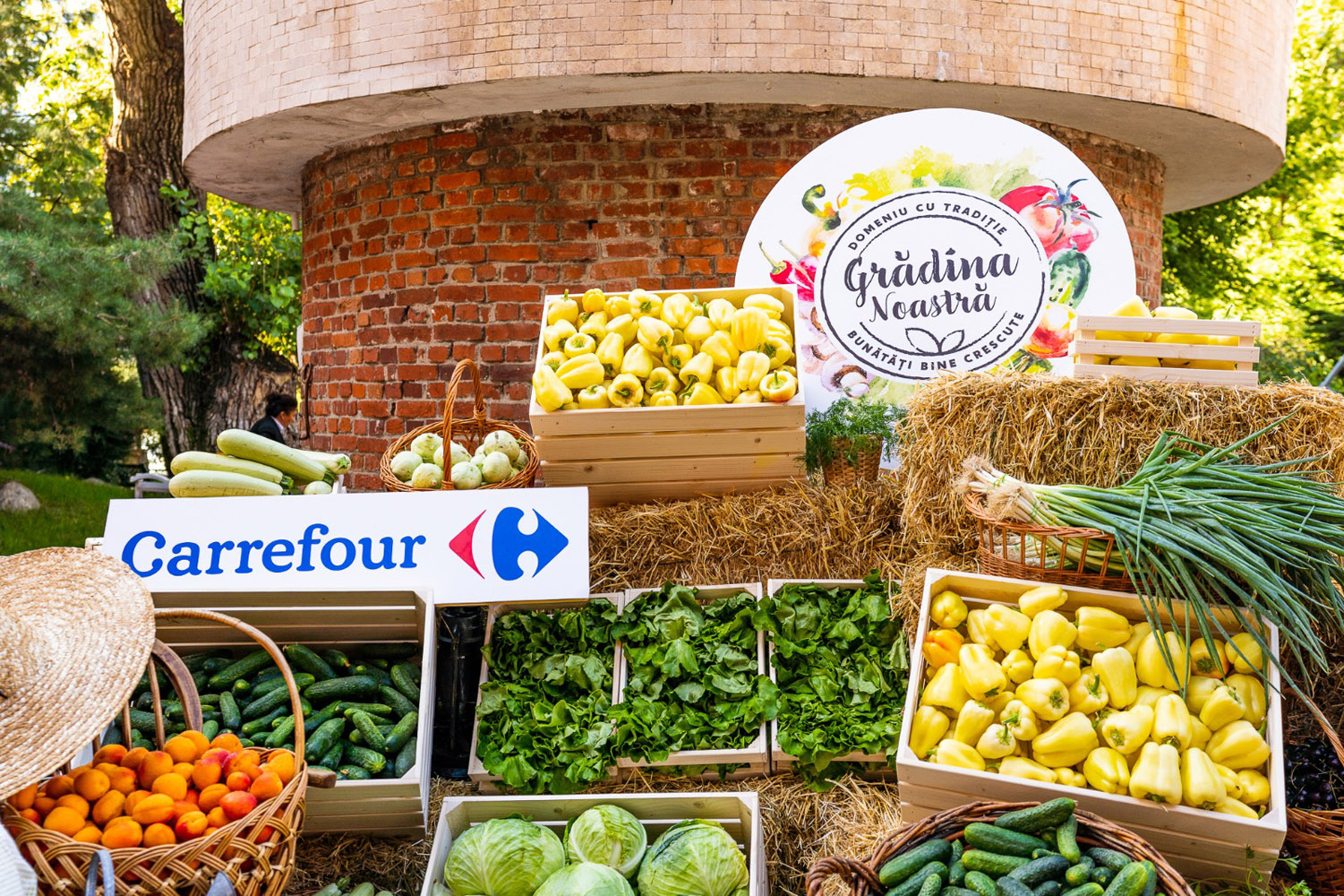 Carrefour - Grădina Noastră