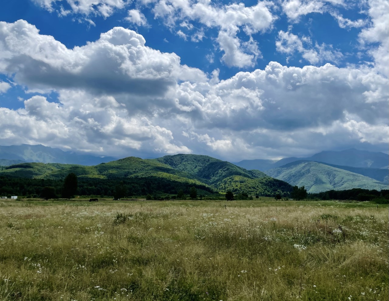 Festivalul Munților Făgăraș invită iubitorii de natură între 5-7 august la Avrig