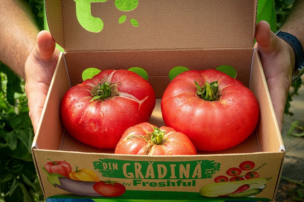 Freshful Rosie XXL cutie ssize