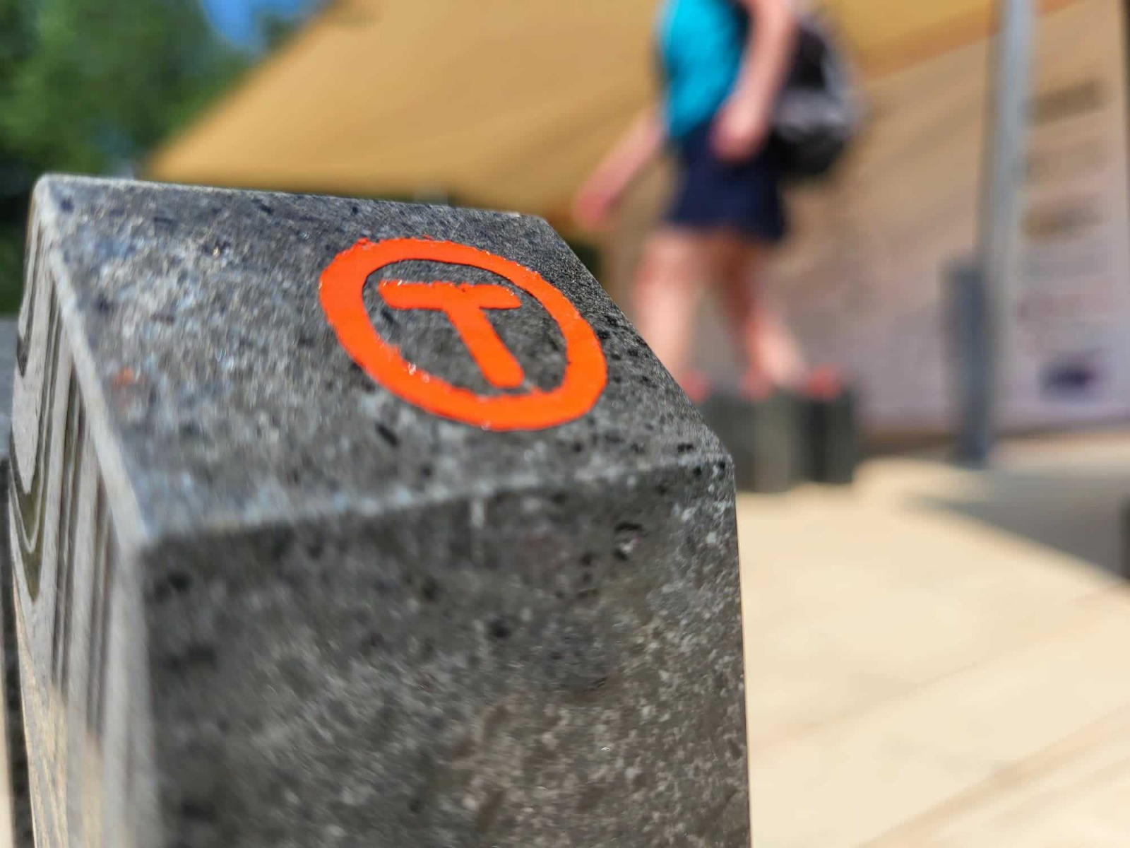 SPOR va sponsoriza Via Transilvanica pentru a reîmprospăta marcajele turistice