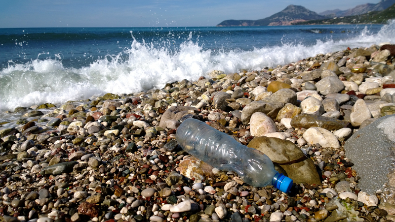 8 din 10 deșeuri aruncate de turiști pe litoral sunt din plastic