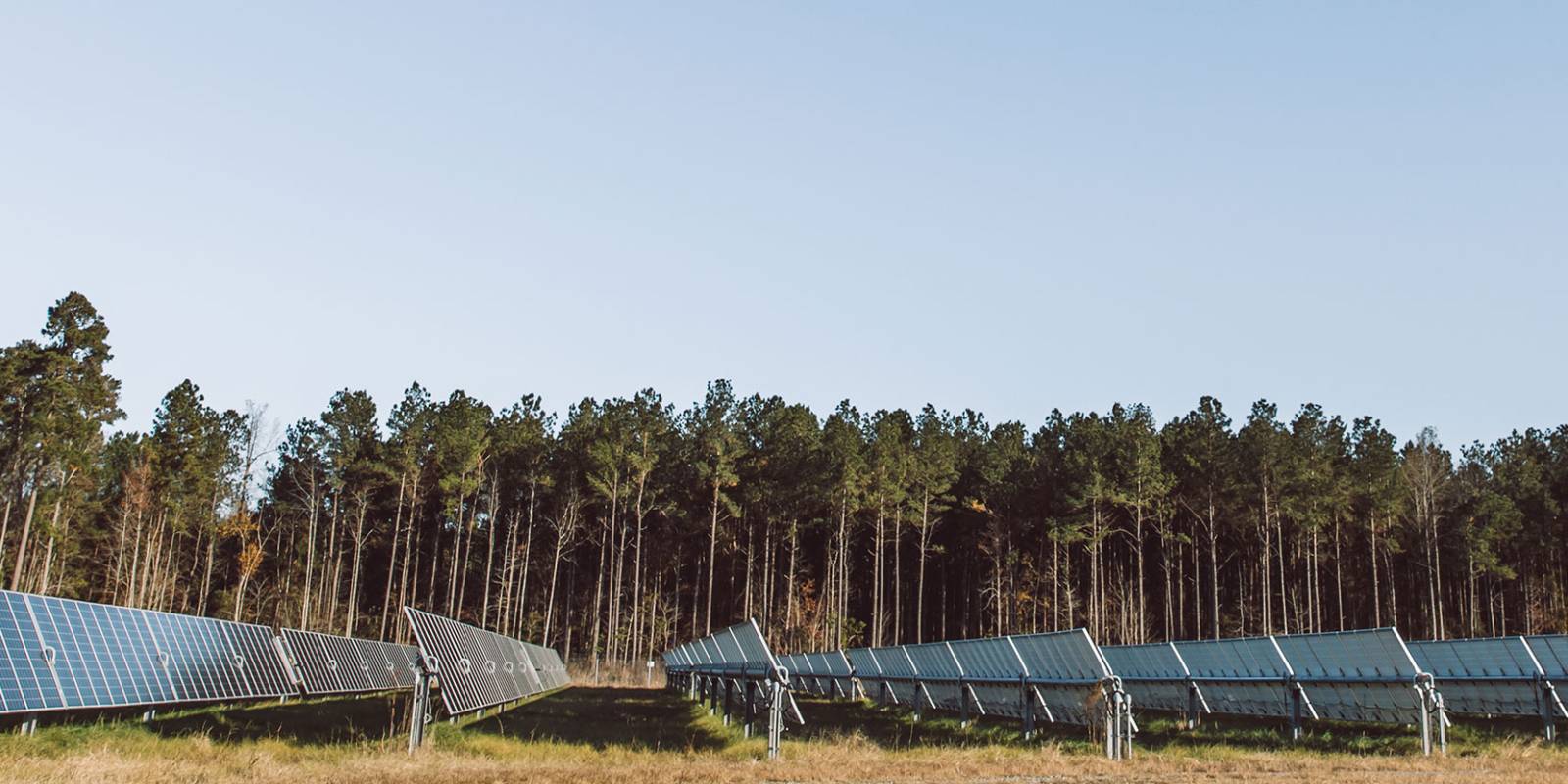 EDPR achiziționează o platformă de dezvoltare a proiectelor fotovoltaice din Germania
