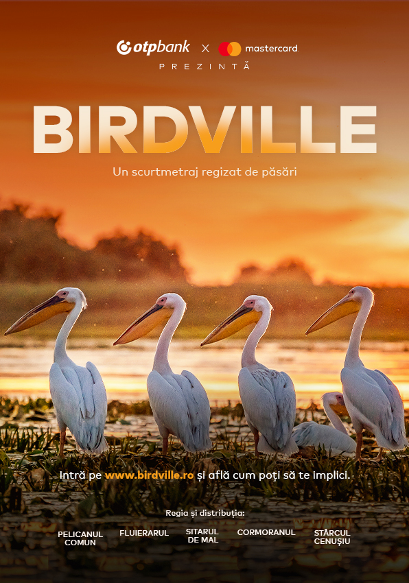 Afiș Birdville