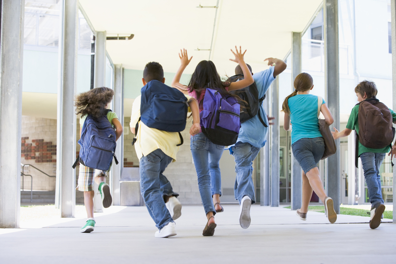 20% dintre elevii români se află în zona de risc educațional