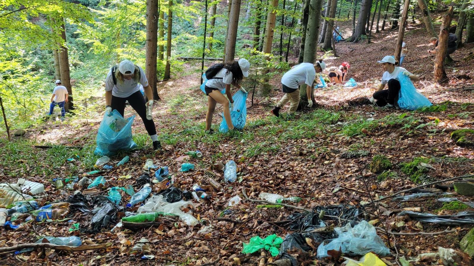 WWF organizează la Brașov primul concert simfonic de plastic